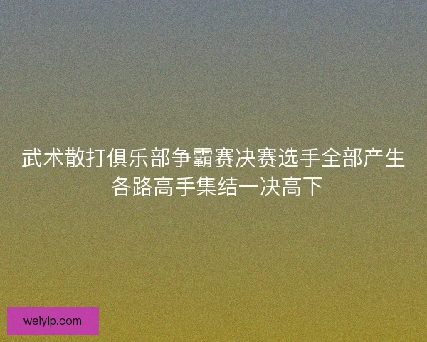 武术散打俱乐部争霸赛决赛选手全部产生 各路高手集结一决高下