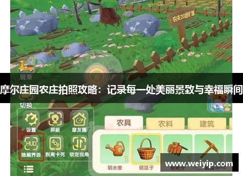 摩尔庄园农庄拍照攻略：记录每一处美丽景致与幸福瞬间